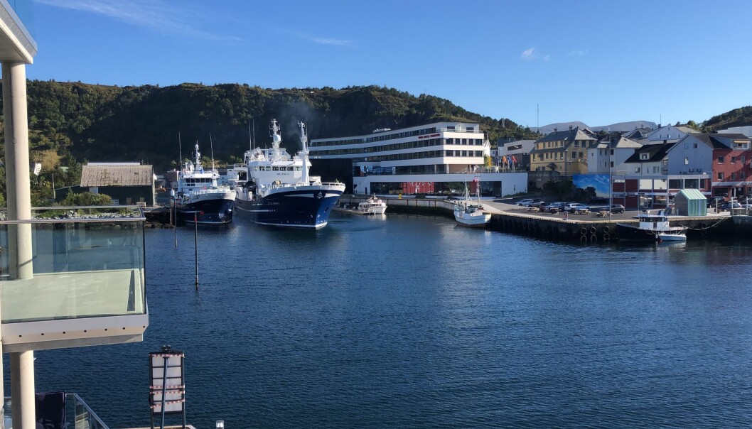 FOSNAVÅG HAVN: En levende fiskerihavn med urbane kvalitetar. Gjestehavna ligger helt i sentrum. FOSNAVÅG HAVN: En levende fiskerihavn med urbane kvalitetar. Gjestehavna ligger helt i sentrum.
