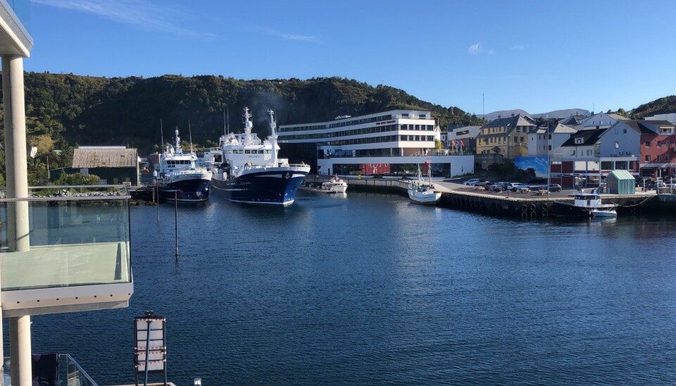 FOSNAVÅG HAVN: En levende fiskerihavn med urbane kvalitetar. Gjestehavna ligger helt i sentrum.